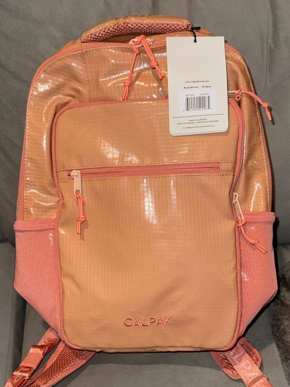 Calpak sleek backpack